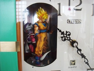 DSC01102.jpg