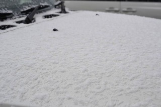 _DSC0846.jpg